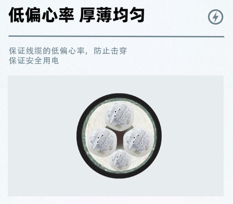 廣安低壓電纜采購需求凸顯，優(yōu)質(zhì)產(chǎn)品與高效服務(wù)成關(guān)鍵考量
